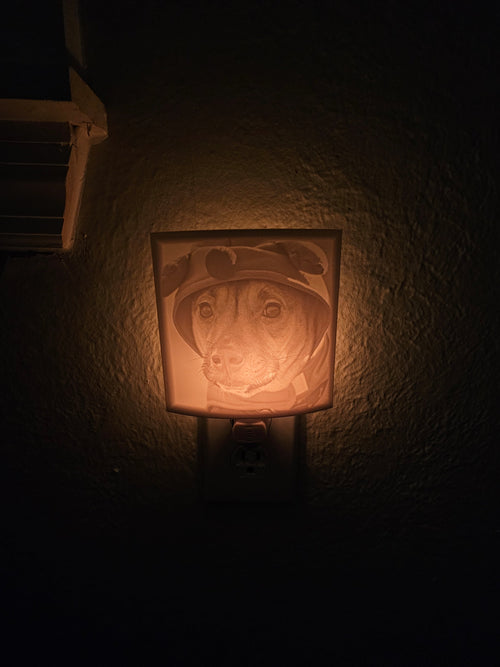 Custom Arc Night Light